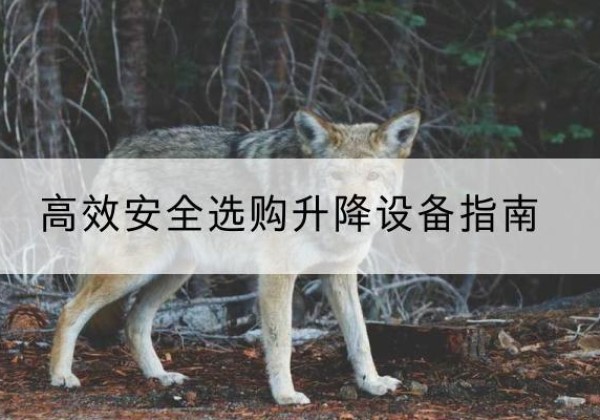 海珠升降货梯厂家推荐-*安全选购升降设备指南