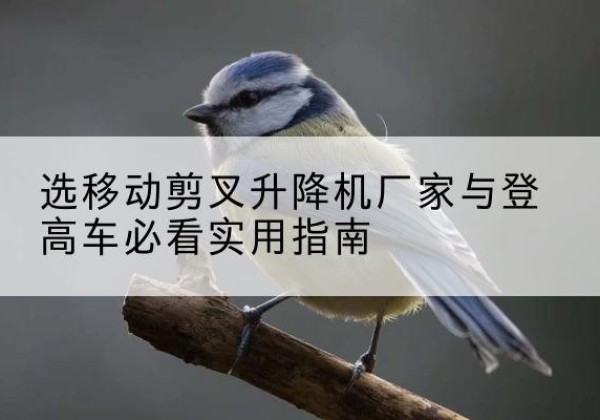 海珠电动升降机厂家-选移动剪叉升降机厂家与登高车必看实用指南
