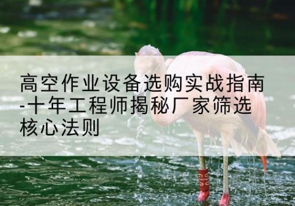 海珠剪叉式升降机厂家-高空作业设备选购实战指南-十年工程师揭秘厂家筛选核心法则